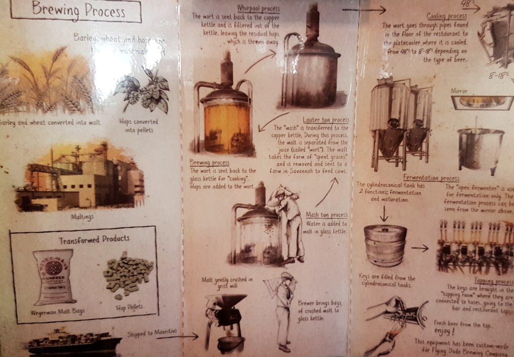 beer making process